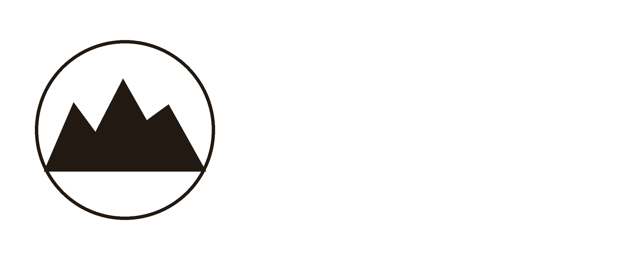 Camelback Automotive logo